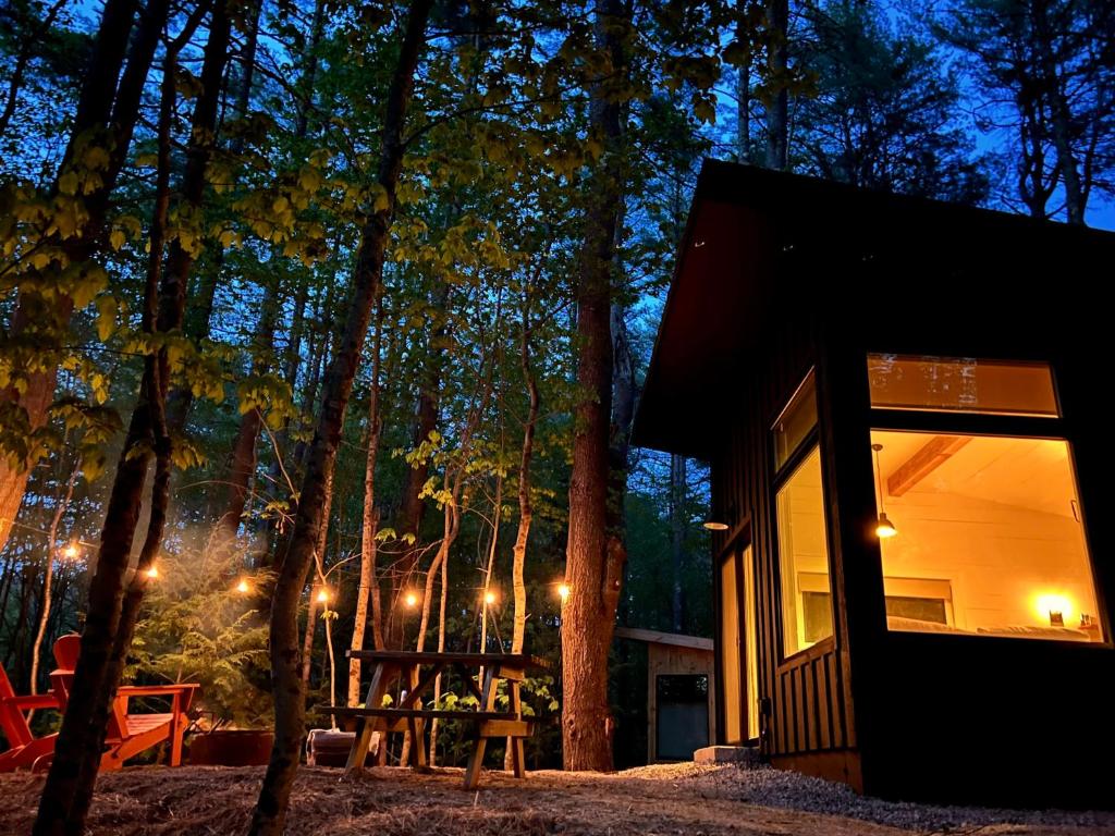 Modern Luxurious Accessible Cabin in the Woods - 16